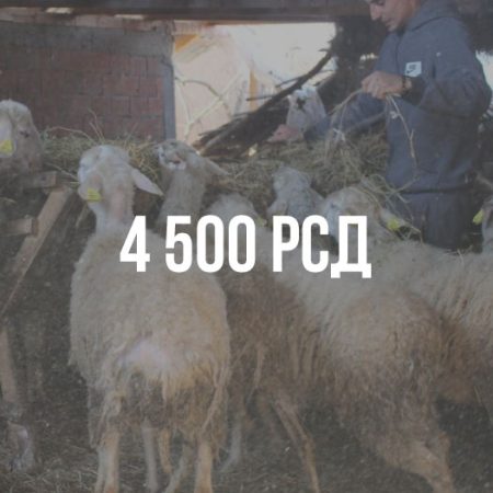 Претплата 4500 динара месечно
